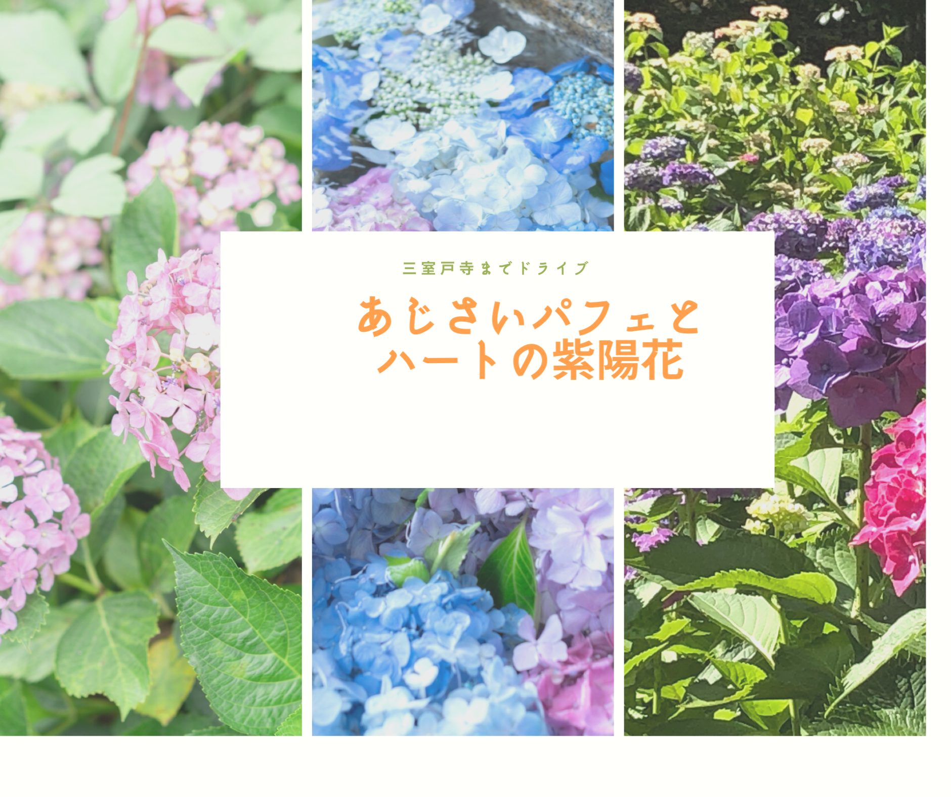 三室戸寺 ハートの紫陽花で恋愛成就 三室堂へお参りしてあじさいパフェを食べる 京都旅日記 旅するブログ